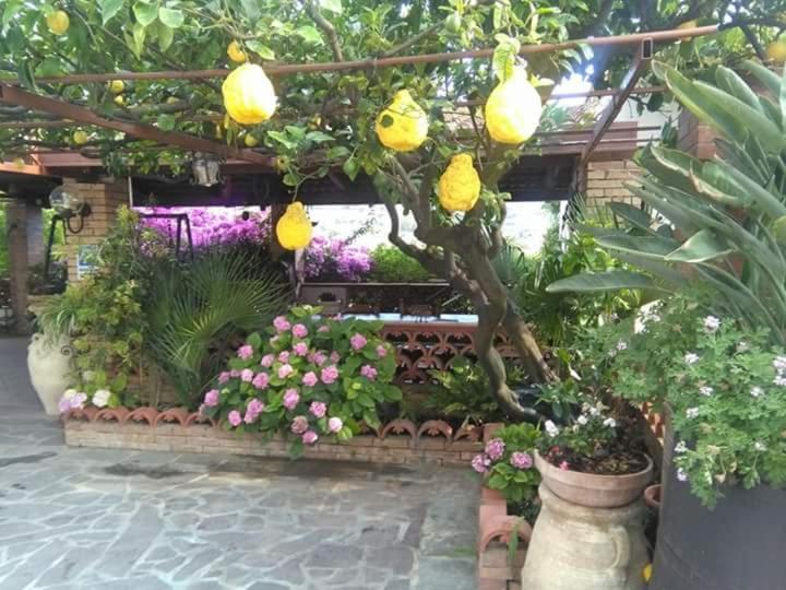 B&B La Porta Del Cilento カプチオ・パエストゥム エクステリア 写真
