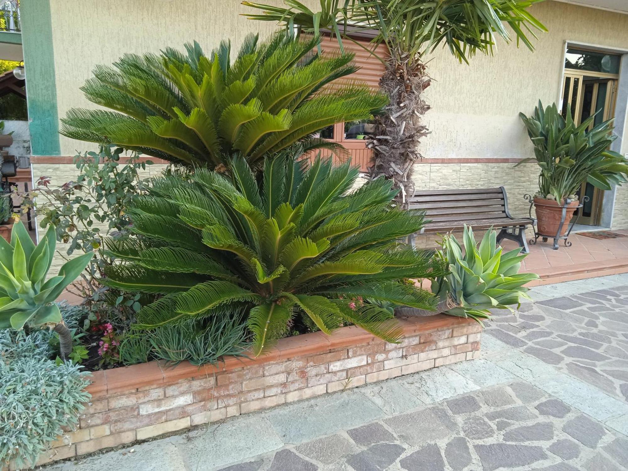 B&B La Porta Del Cilento カプチオ・パエストゥム エクステリア 写真